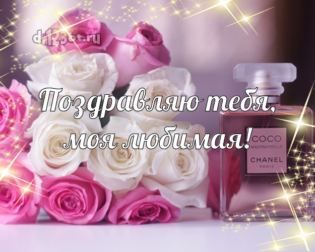 Поздравляю Тебя, моя любимая! Трогательная картинка любимой девушке с розой для whatsApp, для телеграм, для вконтакте, для фейсбука, для одноклассников! Скачать онлайн бесплатно для вацап!