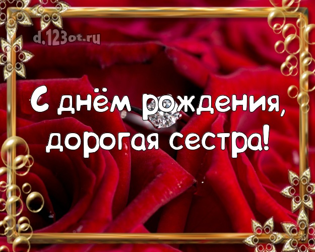 С днём рождения, дорогая сестра! Забавная картинка для классной сестры с фотками розы для whatsApp, для telegram, для вконтакте, для фейсбука, для одноклассники! Скачать онлайн бесплатно для вацап!