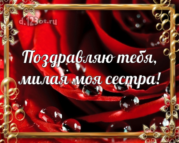 Поздравляю Тебя, милая моя сестра! Душевная картинка классной сестре с фотками розы для ватсапа, для телеграм, для вк, для facebook, для одноклассники! Скачать онлайн бесплатно для вацап!