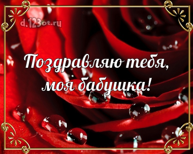 Поздравляю Тебя, моя бабушка! Великолепная открытка классной бабушке с розой для вацап, для telegram, для vk, для facebook, для одноклассников! Скачать онлайн бесплатно для вацап!