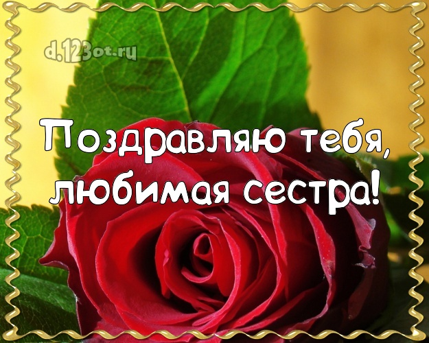 Поздравляю Тебя, любимая сестра! Трогательная картинка лучшей сестре на свете с цветами (розами) для whatsApp, для telegram, для вконтакте, для фейсбук, для одноклассники! Скачать онлайн бесплатно для вацап!