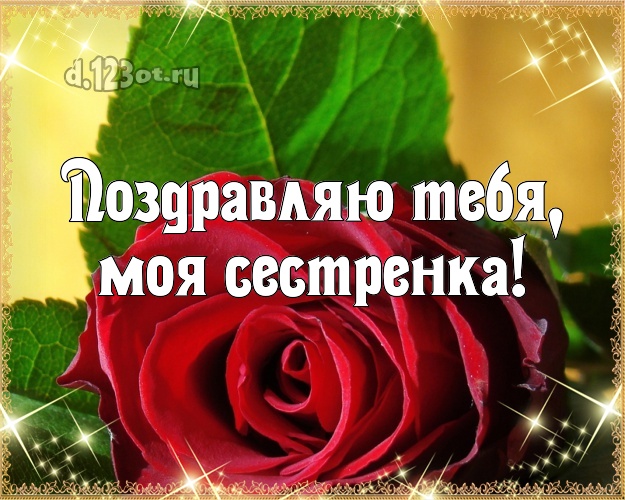 Поздравляю Тебя, моя сестренка! Забавная открытка лучшей сестре на свете с шикарными розами для вацап, для телеграм, для вконтакте, для facebook, для одноклассников! Скачать онлайн бесплатно для вацап!