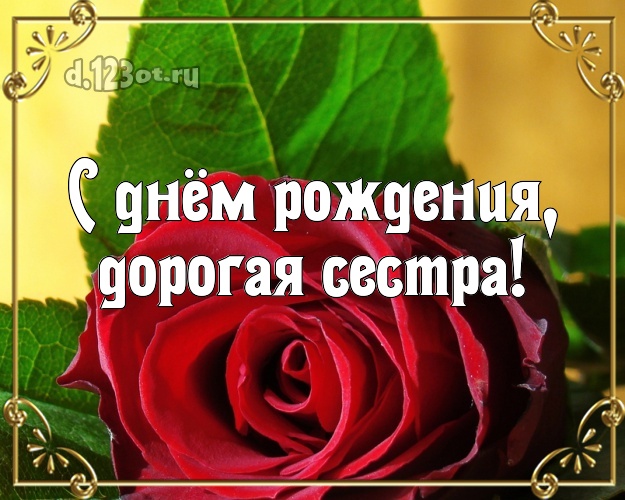 С днём рождения, дорогая сестра! Лучшая картинка лучшей сестре на свете с красивыми розами для ватсапа, для телеграм, для вконтакте, для facebook, для одноклассники! Скачать онлайн бесплатно для вацап!