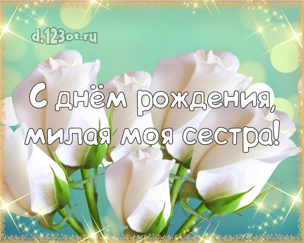 С днём рождения, милая моя сестра! Великолепная картинка для лучшей сестры с красивой розой для вацап, для telegram, для vk, для facebook, для одноклассники! Скачать онлайн бесплатно для вацап!