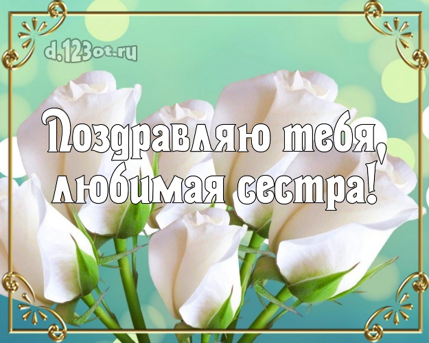 Поздравляю Тебя, любимая сестра! Душевная картинка лучшей сестре на свете с цветами (розами) для ватсапа, для телеграм, для вконтакте, для фейсбук, для одноклассники! Скачать онлайн бесплатно для вацап!