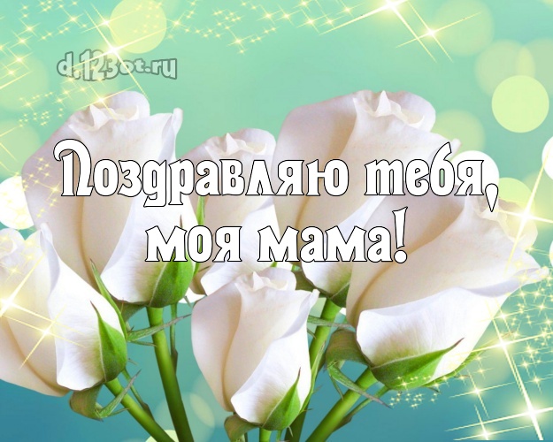 Поздравляю Тебя, моя мама! Чудесная картинка классной маме с красивыми розами для whatsApp, для телеграм, для вконтакте, для фейсбука, для одноклассники! Скачать онлайн бесплатно для вацап!