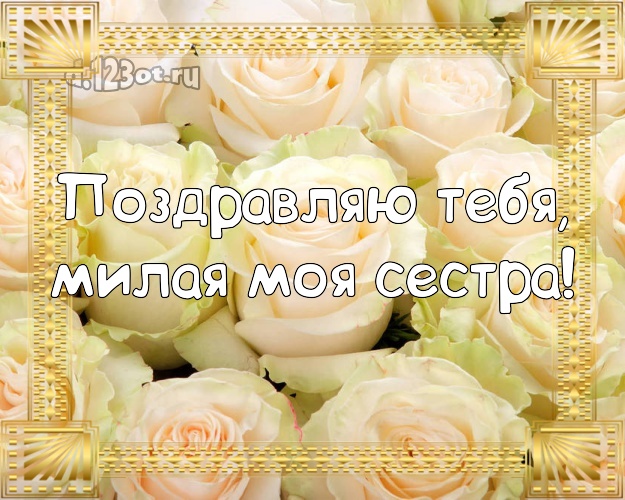 Поздравляю Тебя, милая моя сестра! Манящая картинка классной сестре с шикарными розами для ватсапа, для telegram, для вк, для фейсбук, для одноклассников! Скачать онлайн бесплатно для вацап!