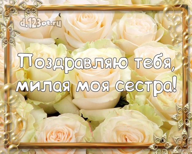 Поздравляю Тебя, милая моя сестра! Манящая картинка классной сестре с розами для вацап, для telegram, для vk, для фейсбук, для одноклассники! Скачать онлайн бесплатно для вацап!