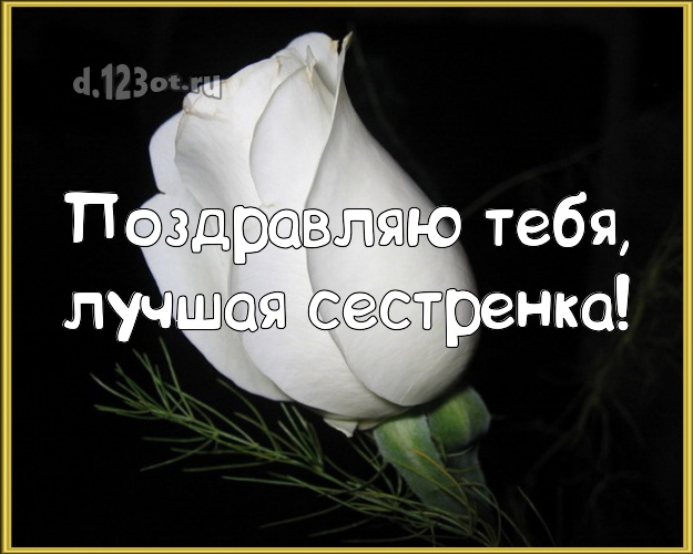 Поздравляю Тебя, лучшая сестренка! Манящая картинка для классной сестры с красивыми розами для ватсапа, для телеграм, для vk, для facebook, для одноклассники! Скачать онлайн бесплатно для вацап!