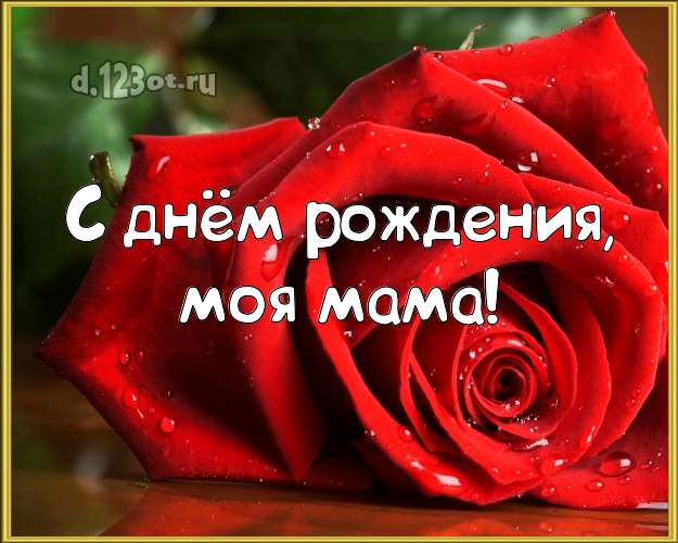 С днём рождения, моя мама! Ангельская открытка классной маме с шикарными розами для ватсапа, для telegram, для вконтакте, для фейсбука, для одноклассники! Скачать онлайн бесплатно для вацап!