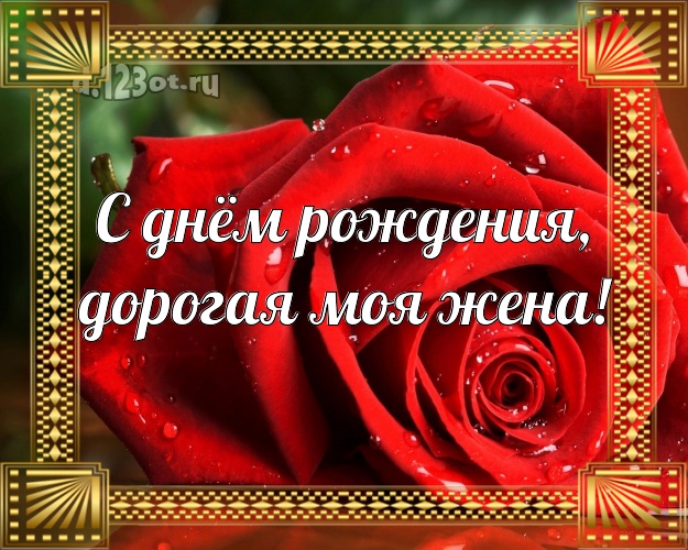 С днём рождения, дорогая моя жена! Дивная открытка для классной жены с красивыми розами для whatsApp, для телеграм, для vk, для facebook, для одноклассников! Скачать онлайн бесплатно для вацап!