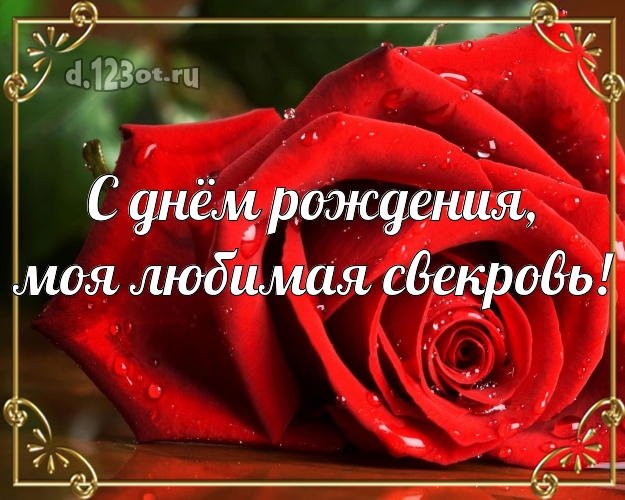 Otkrytka Kartinka S Dnyom Rozhdeniya Dorogaya Chudesnaya Kartinka Klassnoj Svekrovi S Rozoj Dlya Vacap Dlya Telegram Dlya Vk Dlya Fejsbuka Dlya Odnoklassnikov Pereslat Besplatno Onlajn S Lyubovyu Vyrazitelnyj Stih Luchshej Svekrovi V