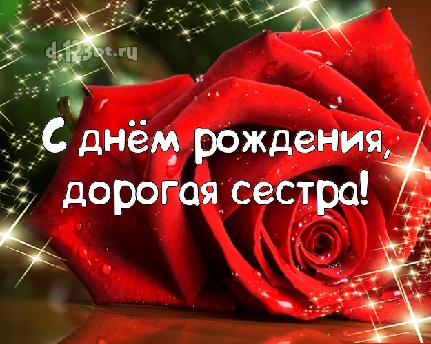 С днём рождения, дорогая сестра! Душевная открытка лучшей сестре на свете с шикарными розами для whatsApp, для telegram, для вконтакте, для фейсбук, для одноклассники! Скачать онлайн бесплатно для вацап!