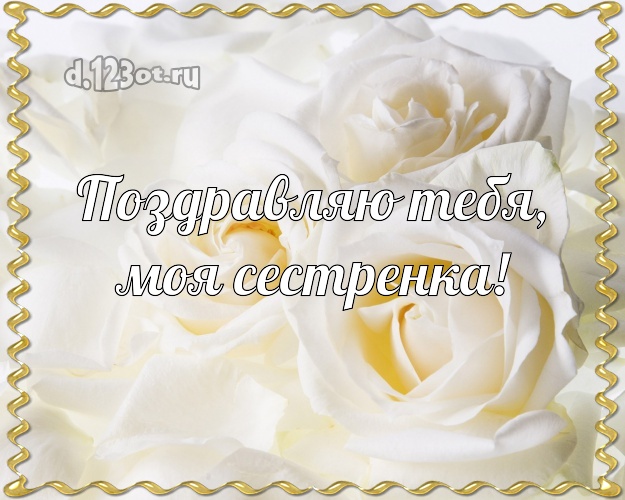 Поздравляю Тебя, моя сестренка! Ангельская картинка классной сестре с красивыми розами для whatsApp, для телеграм, для vk, для facebook, для одноклассники! Скачать онлайн бесплатно для вацап!