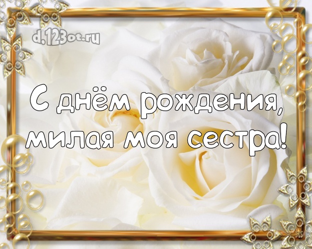 С днём рождения, милая моя сестра! Ангельская открытка лучшей сестре на свете с розой для ватсапа, для телеграм, для вконтакте, для фейсбук, для одноклассники! Скачать онлайн бесплатно для вацап!