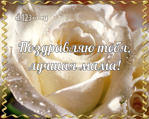 Поздравляю Тебя, лучшая мама! Дивная открытка классной маме с розами для вацап, для telegram, для vk, для фейсбука, для одноклассники! Скачать онлайн бесплатно для вацап!
