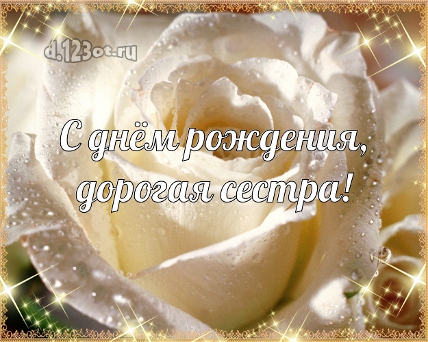 С днём рождения, дорогая сестра! Душевная картинка классной сестре с розочками для whatsApp, для telegram, для vk, для фейсбука, для одноклассники! Скачать онлайн бесплатно для вацап!
