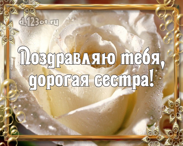 Поздравляю Тебя, дорогая сестра! Дивная открытка для лучшей сестры с шикарными розами для whatsApp, для telegram, для вк, для facebook, для одноклассников! Скачать онлайн бесплатно для вацап!