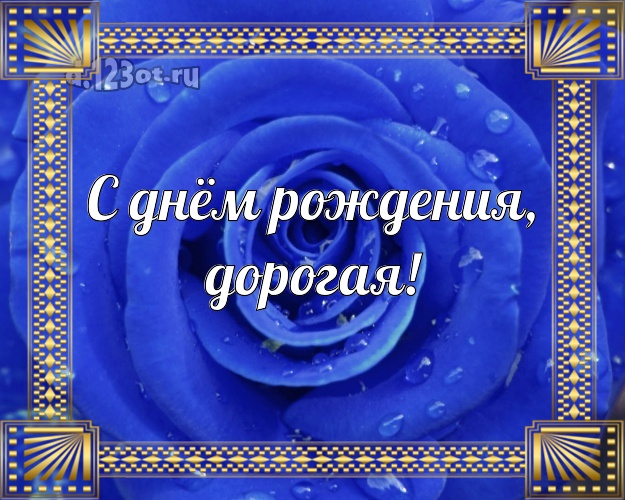 С днём рождения, дорогая! Забавная картинка женщине с розами для ватсапа, для telegram, для vk, для фейсбука, для одноклассников! Скачать онлайн бесплатно для вацап!