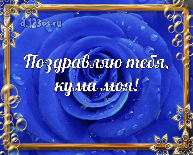 Привет кума в картинках веселые. Анекдоты про кумовьев. Анекдоты про кумушек. Самая лучшая кума. Приколы про заливную рыбу.