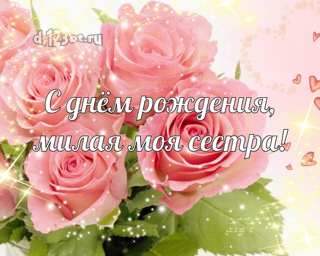 С днём рождения, милая моя сестра! Ангельская картинка классной сестре с розами для вацап, для телеграм, для vk, для фейсбука, для одноклассников! Скачать онлайн бесплатно для вацап!