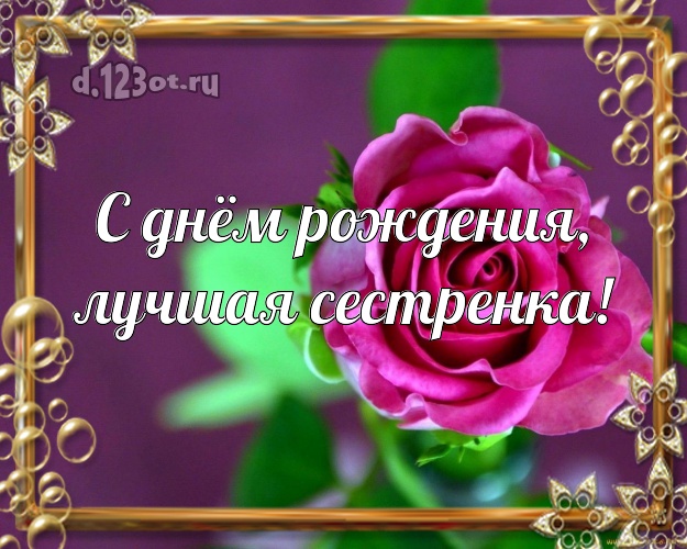 С днём рождения, лучшая сестренка! Забавная открытка лучшей сестре на свете с цветами (розами) для вацап, для телеграм, для вк, для фейсбука, для одноклассников! Скачать онлайн бесплатно для вацап!