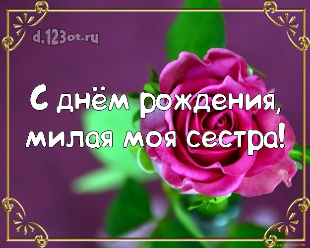 С днём рождения, милая моя сестра! Манящая открытка для лучшей сестры с розой для вацап, для телеграм, для вконтакте, для фейсбука, для одноклассников! Скачать онлайн бесплатно для вацап!