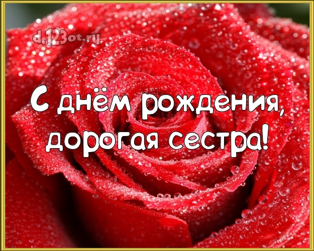 С днём рождения, дорогая сестра! Чудесная открытка для лучшей сестры с розочками для вацап, для telegram, для вконтакте, для фейсбук, для одноклассников! Скачать онлайн бесплатно для вацап!