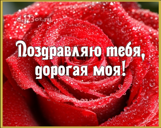 Поздравляю Тебя, дорогая моя! Душевная картинка любимой девушке с красивой розой для вацап, для telegram, для vk, для facebook, для одноклассники! Скачать онлайн бесплатно для вацап!