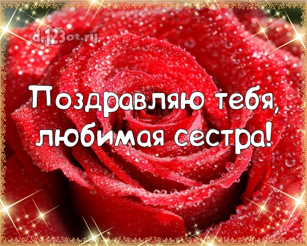 Поздравляю Тебя, любимая сестра! Лучшая открытка для лучшей сестры с цветами (розами) для whatsApp, для телеграм, для вконтакте, для facebook, для одноклассников! Скачать онлайн бесплатно для вацап!