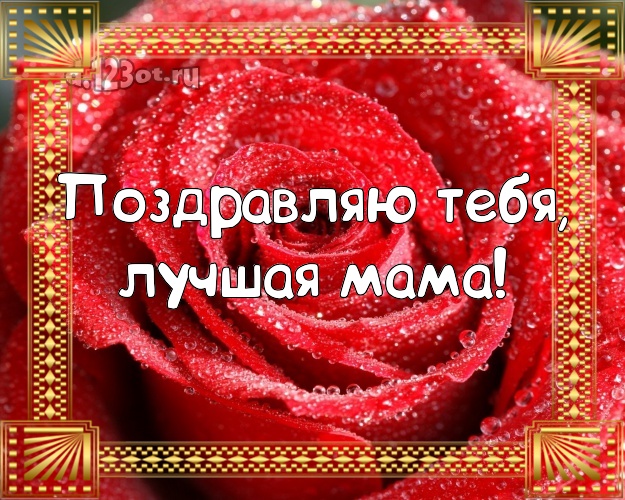 Поздравляю Тебя, лучшая мама! Чудесная открытка лучшей маме на свете с розочками для ватсапа, для telegram, для вконтакте, для facebook, для одноклассники! Скачать онлайн бесплатно для вацап!