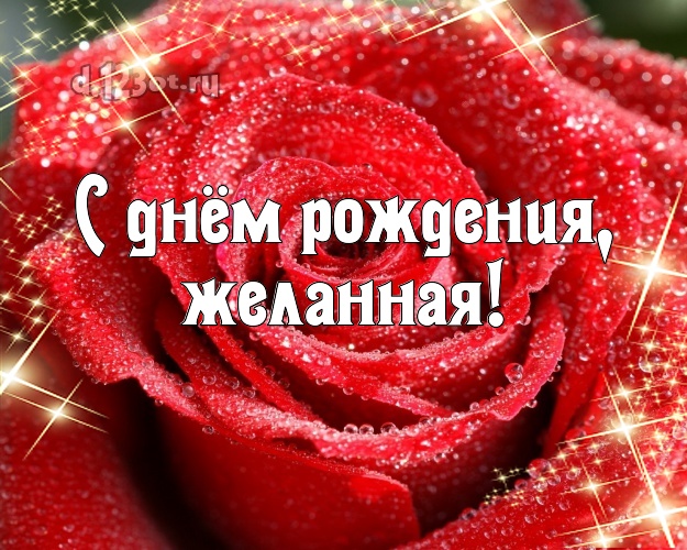 С днём рождения, желанная! Манящая картинка для дамы с красивой розой для вацап, для telegram, для вк, для фейсбук, для одноклассники! Скачать онлайн бесплатно для вацап!