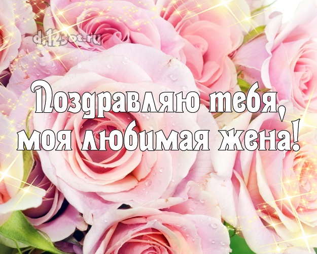 Поздравляю Тебя, моя любимая жена! Чудесная картинка классной жене с розами для ватсапа, для телеграм, для вконтакте, для facebook, для одноклассники! Скачать онлайн бесплатно для вацап!