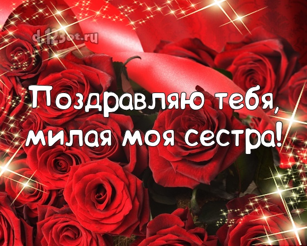 Поздравляю Тебя, милая моя сестра! Лучшая открытка для лучшей сестры с розой для whatsApp, для телеграм, для вк, для фейсбука, для одноклассники! Скачать онлайн бесплатно для вацап!