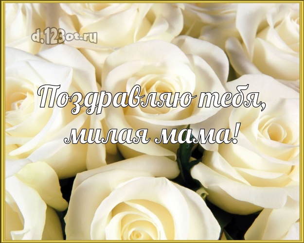 Поздравляю Тебя, милая мама! Забавная картинка классной маме с красивыми розами для вацап, для telegram, для вк, для facebook, для одноклассники! Скачать онлайн бесплатно для вацап!