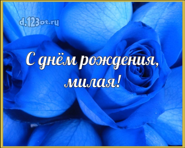 С днём рождения, милая! Великолепная картинка для женщины с розой для whatsApp, для телеграм, для вконтакте, для facebook, для одноклассников! Скачать онлайн бесплатно для вацап!