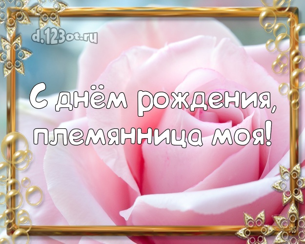 С днём рождения, племянница моя! Забавная открытка классной племяшке с розочками для вацап, для telegram, для вконтакте, для фейсбук, для одноклассников! Скачать онлайн бесплатно для вацап!