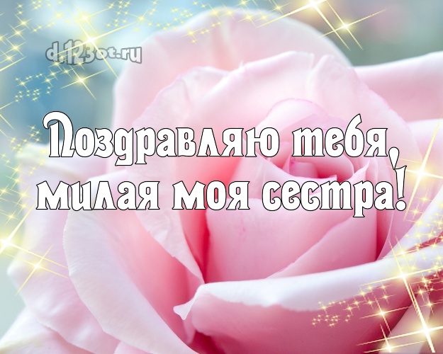Поздравляю Тебя, милая моя сестра! Манящая открытка классной сестре с цветами (розами) для whatsApp, для telegram, для vk, для facebook, для одноклассники! Скачать онлайн бесплатно для вацап!