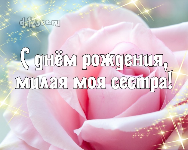 С днём рождения, милая моя сестра! Дивная картинка классной сестре с красивыми розами для ватсапа, для телеграм, для vk, для facebook, для одноклассников! Скачать онлайн бесплатно для вацап!