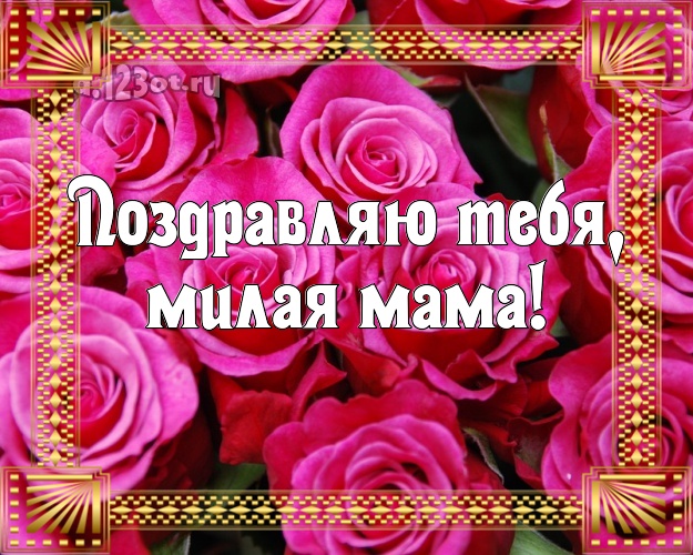Поздравляю Тебя, милая мама! Забавная открытка для классной мамы с цветами (розами) для вацап, для telegram, для вк, для facebook, для одноклассников! Скачать онлайн бесплатно для вацап!