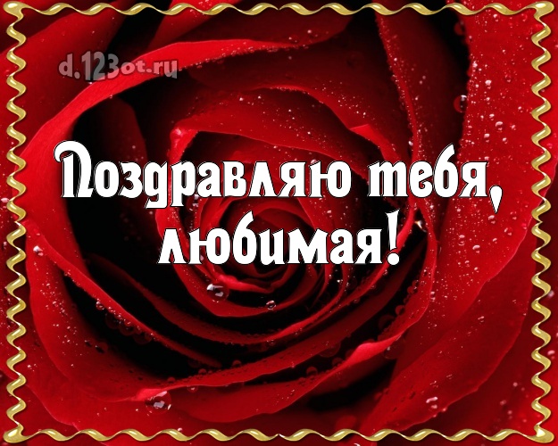 Поздравляю Тебя, любимая! Ангельская картинка женщине с фотками розы для whatsApp, для телеграм, для вк, для фейсбук, для одноклассников! Скачать онлайн бесплатно для вацап!
