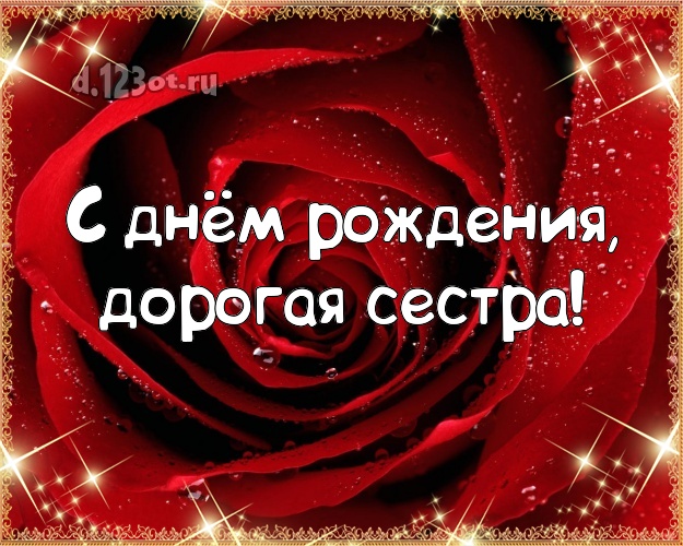 С днём рождения, дорогая сестра! Ангельская открытка лучшей сестре на свете с фотками розы для whatsApp, для telegram, для вконтакте, для фейсбука, для одноклассники! Скачать онлайн бесплатно для вацап!