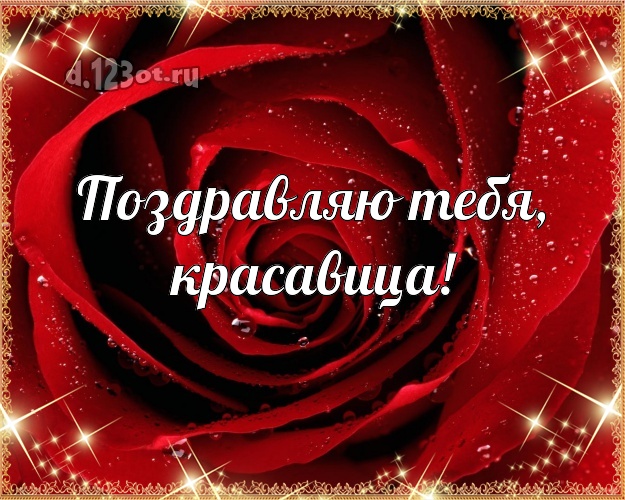 Поздравляю Тебя, красавица! Дивная открытка классной девчонке с розами для whatsApp, для telegram, для вк, для фейсбук, для одноклассников! Скачать онлайн бесплатно для вацап!