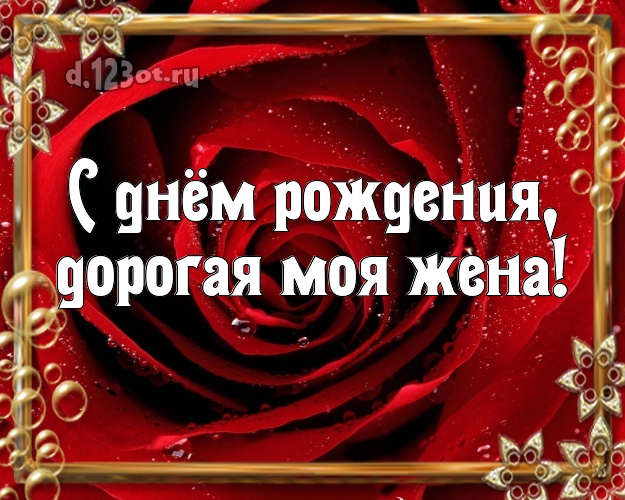 С днём рождения, дорогая моя жена! Забавная открытка классной жене с красивыми розами для вацап, для телеграм, для вконтакте, для facebook, для одноклассники! Скачать онлайн бесплатно для вацап!