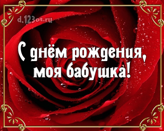 С днём рождения, моя бабушка! Великолепная картинка для лучшей бабушки с розами для вацап, для телеграм, для vk, для фейсбук, для одноклассников! Скачать онлайн бесплатно для вацап!