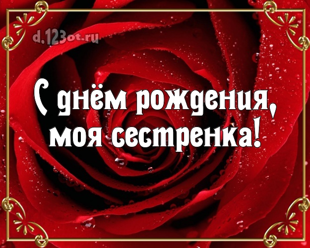 С днём рождения, моя сестренка! Чудесная картинка лучшей сестре на свете с красивой розой для whatsApp, для telegram, для vk, для фейсбук, для одноклассники! Скачать онлайн бесплатно для вацап!