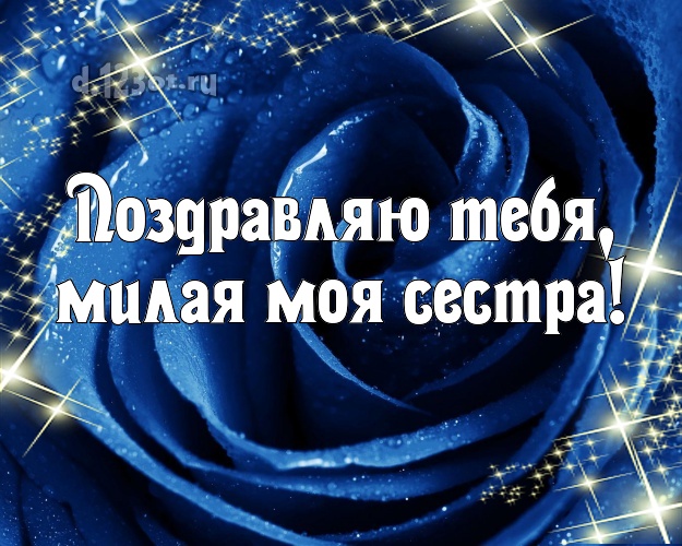 Поздравляю Тебя, милая моя сестра! Забавная картинка классной сестре с красивыми розами для ватсапа, для telegram, для вк, для фейсбука, для одноклассников! Скачать онлайн бесплатно для вацап!