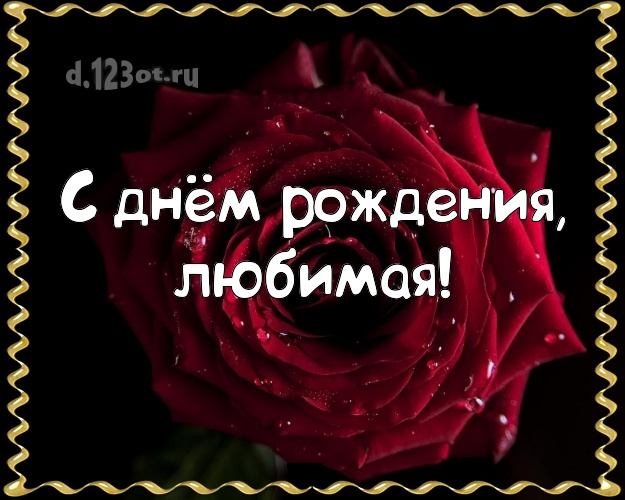 С днём рождения, любимая! Забавная открытка классной девчонке с розой для ватсапа, для телеграм, для vk, для фейсбук, для одноклассники! Скачать онлайн бесплатно для вацап!