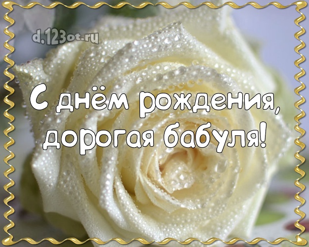 С днём рождения, дорогая бабуля! Дивная картинка для классной бабушки с красивой розой для вацап, для telegram, для вконтакте, для фейсбук, для одноклассники! Скачать онлайн бесплатно для вацап!