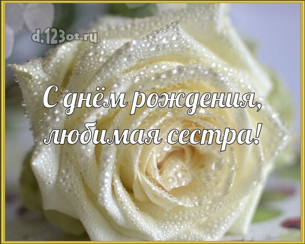 С днём рождения, любимая сестра! Великолепная картинка для классной сестры с цветами (розами) для ватсапа, для телеграм, для вк, для фейсбук, для одноклассники! Скачать онлайн бесплатно для вацап!